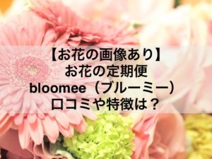 【画像あり】bloomee（ブルーミー）評判や口コミは？実際のお花はどんな感じ？